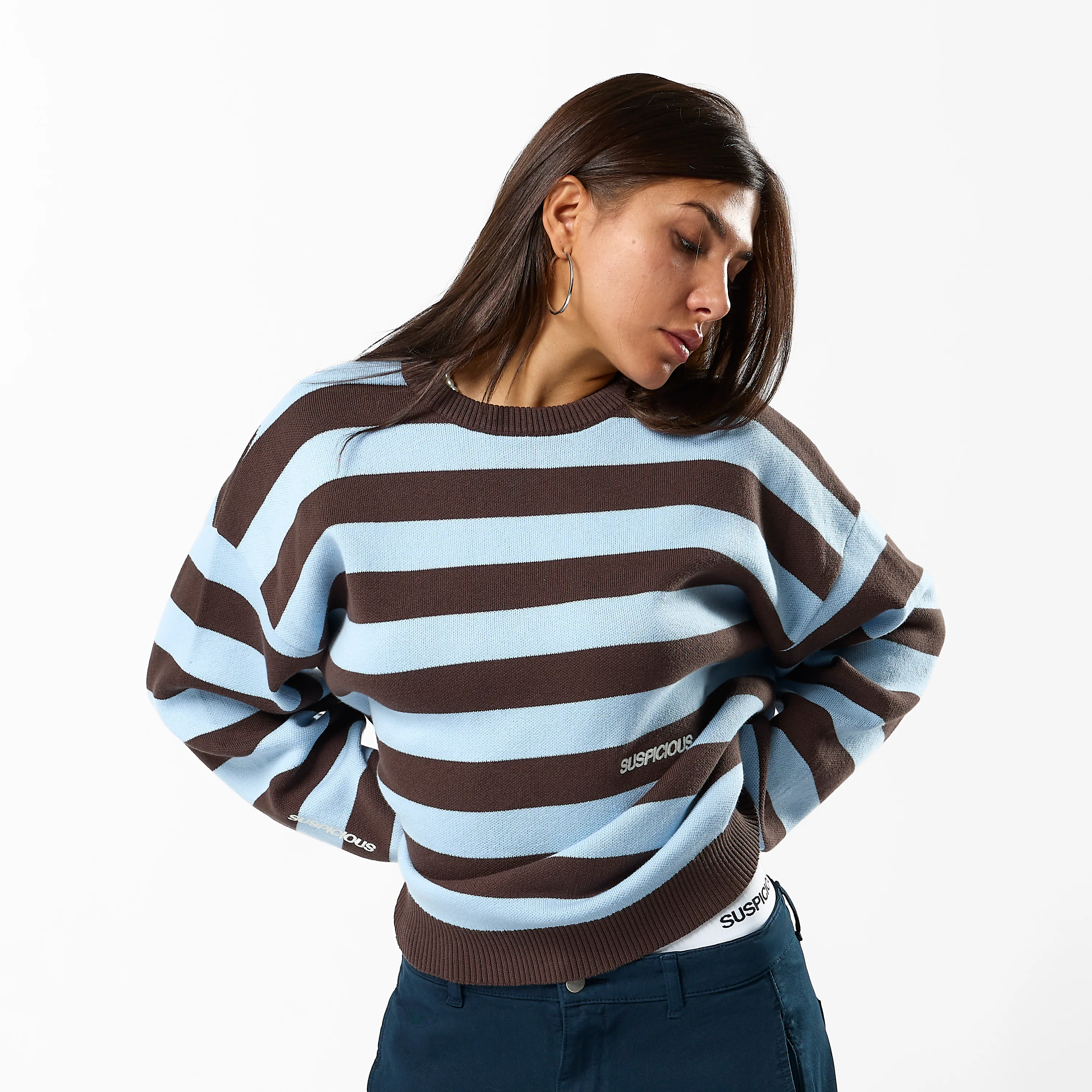 Fall / Striped Cotton Knit - Dusty Blue & Brown - Image 5