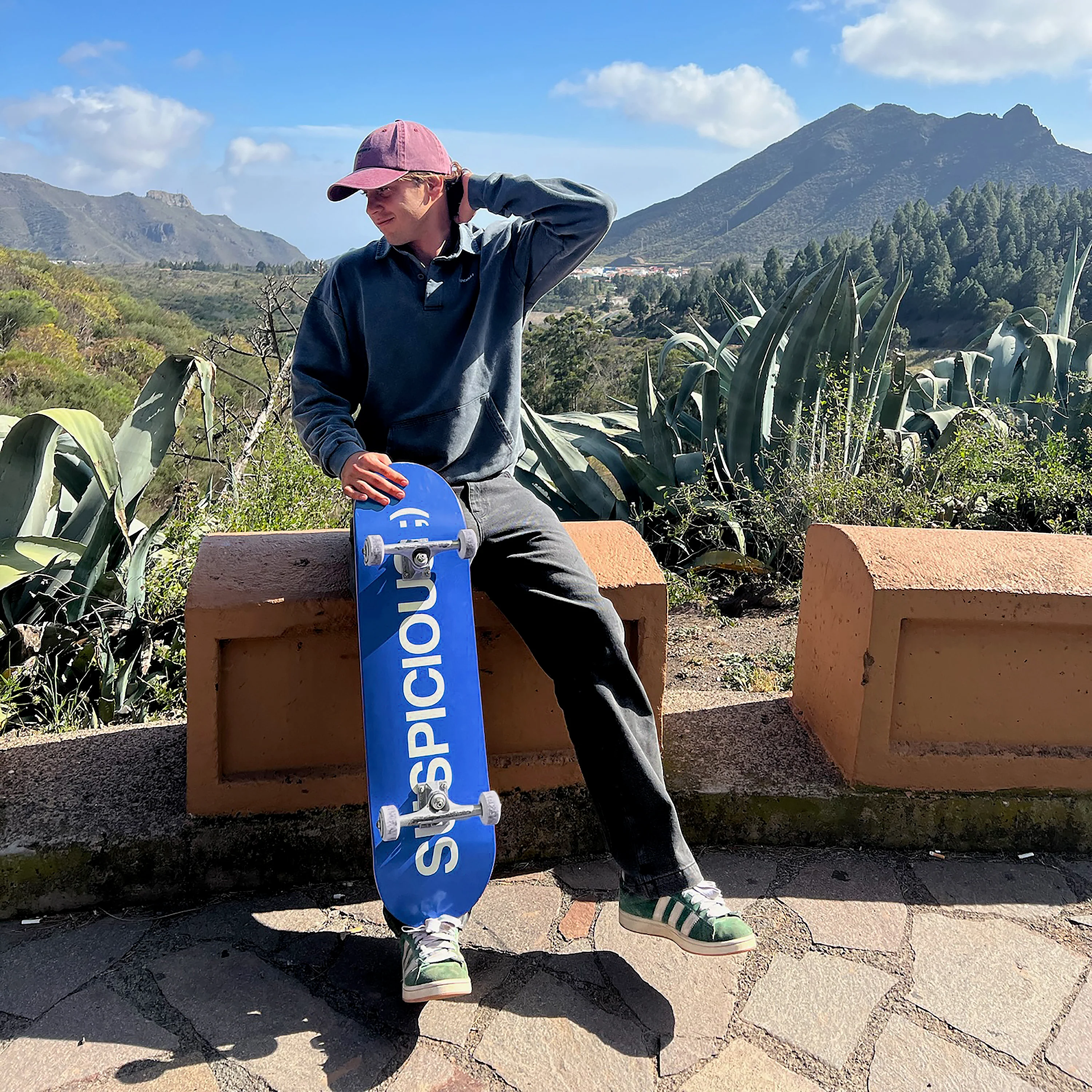 The Suspicious Skateboard - Blue - Image 3